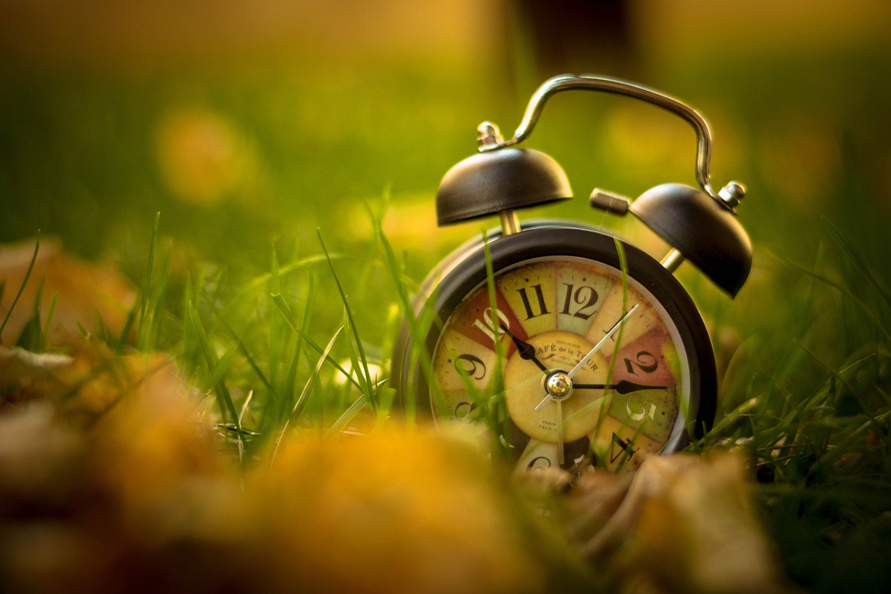 Alarm Systems – A Necessity or Luxury?